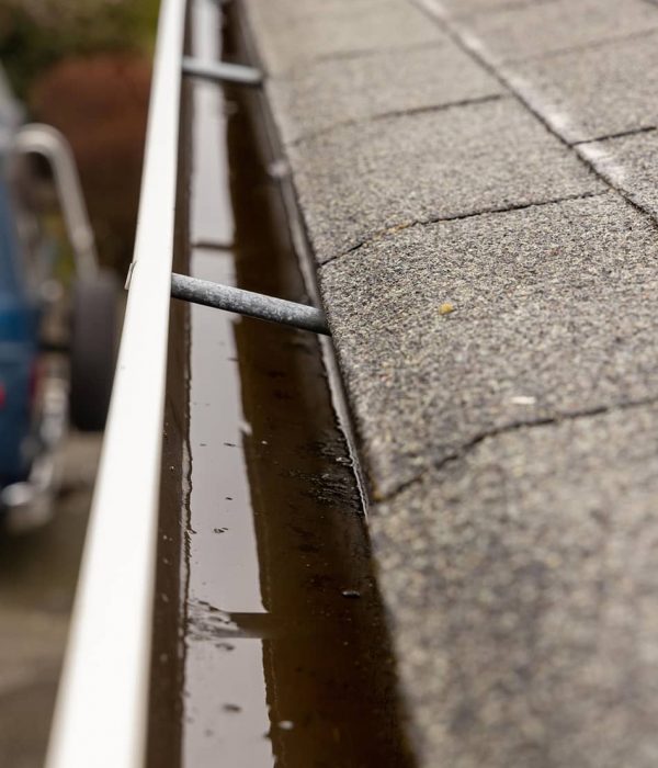 Gutter Cleaning-42