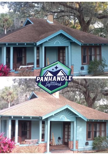 blue home with pink plant before and after roof cleaning