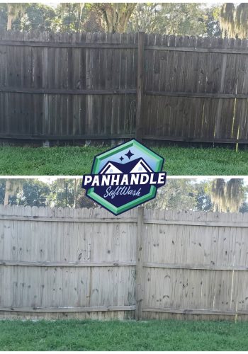 Panhandle SoftWash-150